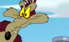 Warner Bros. заморозила проект с Джоном Синой по мотивам «Looney Tunes»