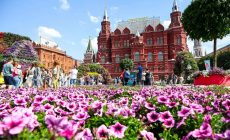 Когда в Москве пройдёт фестиваль «Цветочный джем»?
